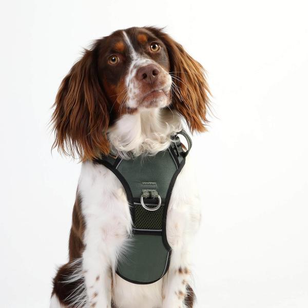 DOOG Neotech Harness Green Gr. XL DOOG Neotech Harness Green Gr. XL